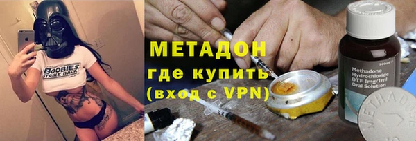 шишки Новозыбков