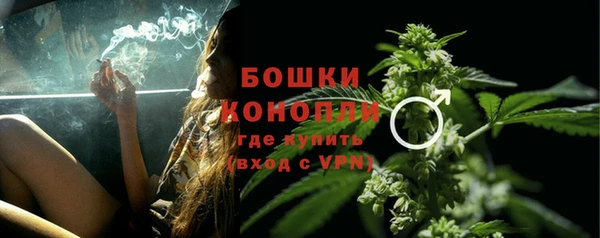 шишки Новозыбков