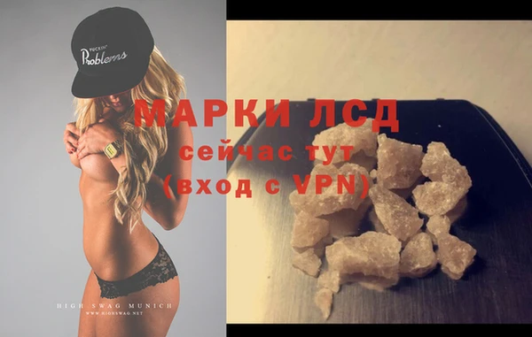 шишки Новозыбков