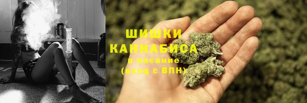 ГАЛЛЮЦИНОГЕННЫЕ ГРИБЫ Осинники