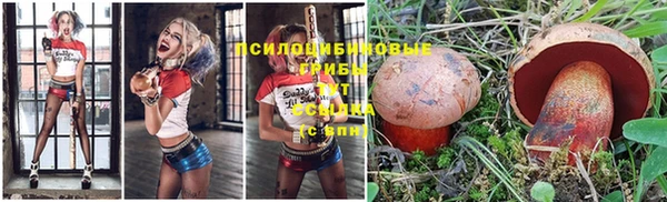 бутират Долгопрудный