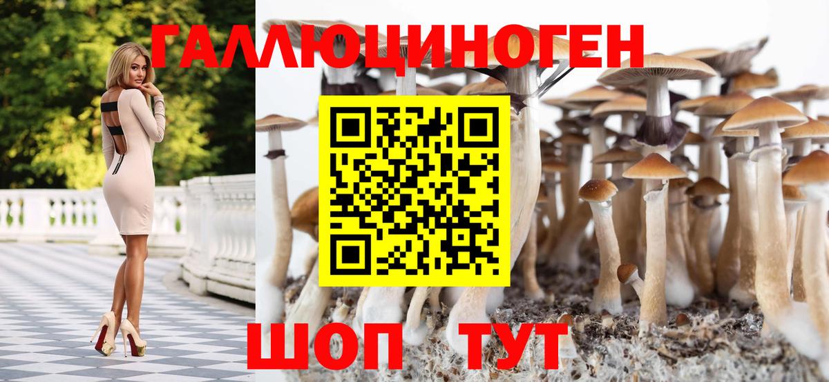 Галлюциногенные грибы MAGIC MUSHROOMS Тамбов