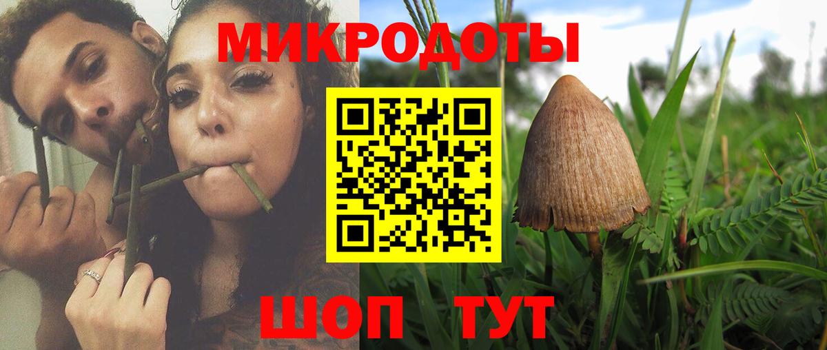 Галлюциногенные грибы GOLDEN TEACHER  Вход с VPN  Тамбов  дарнет шоп  Псилоцибиновые грибы GOLDEN TEACHER 