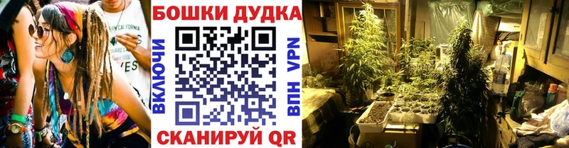 цена наркотик  Тамбов  Бошки Шишки ГИДРОПОН 