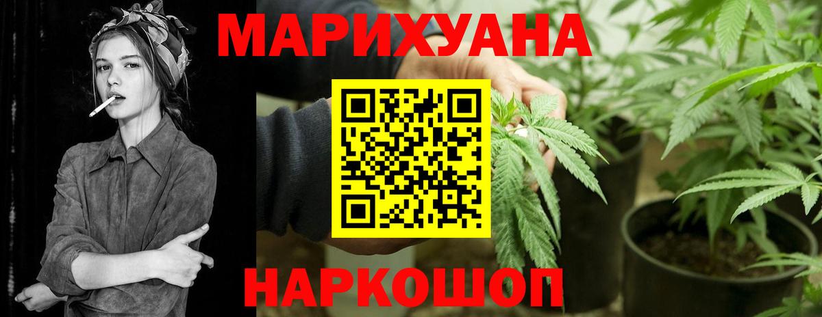 Конопля гибрид Тамбов